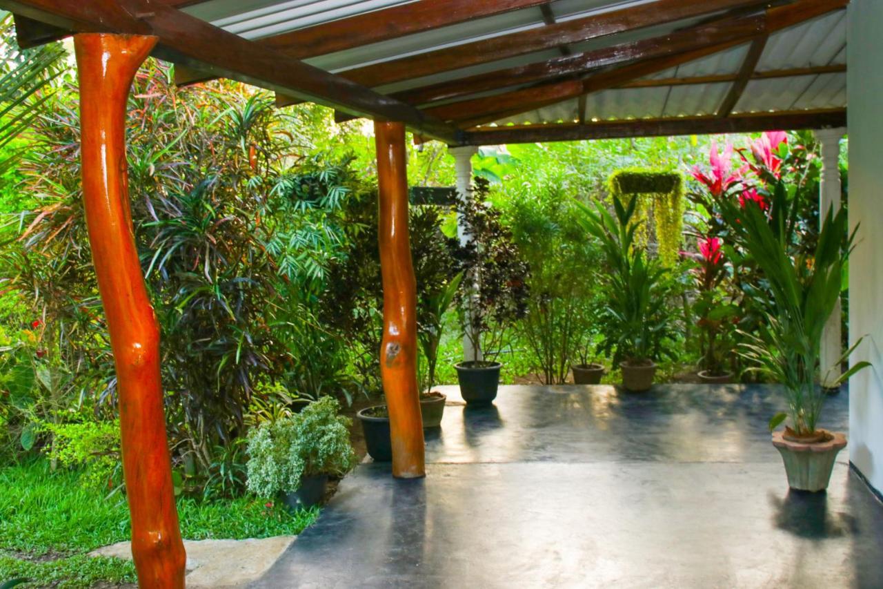 Sigiri Sandilu Homestay Sigiriya Dış mekan fotoğraf