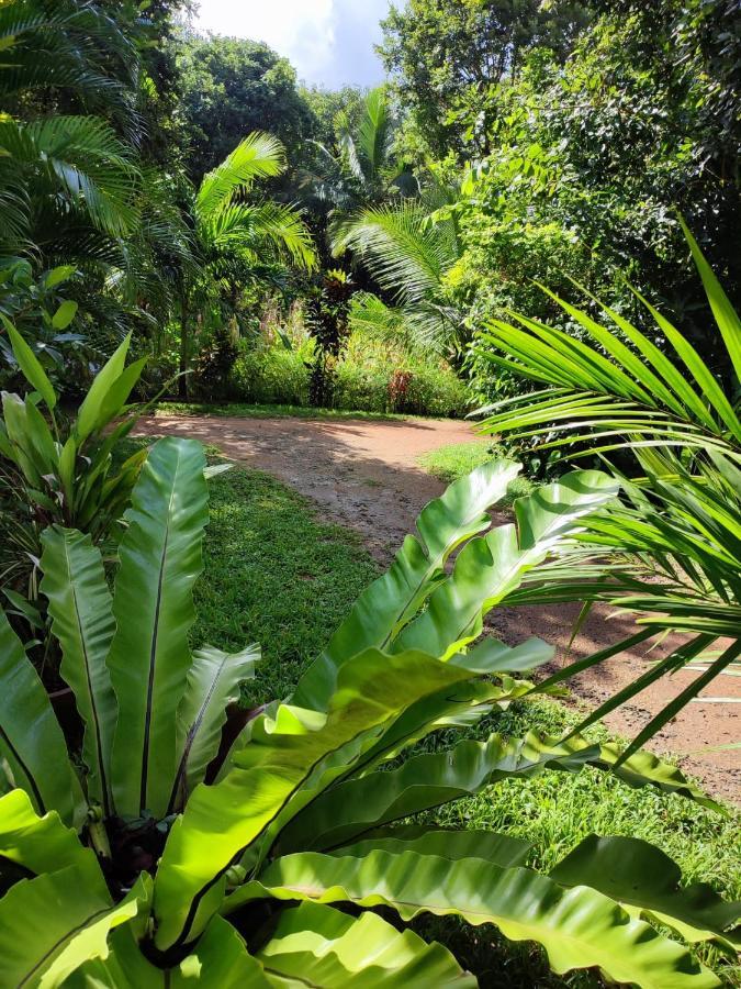 Sigiri Sandilu Homestay Sigiriya Dış mekan fotoğraf