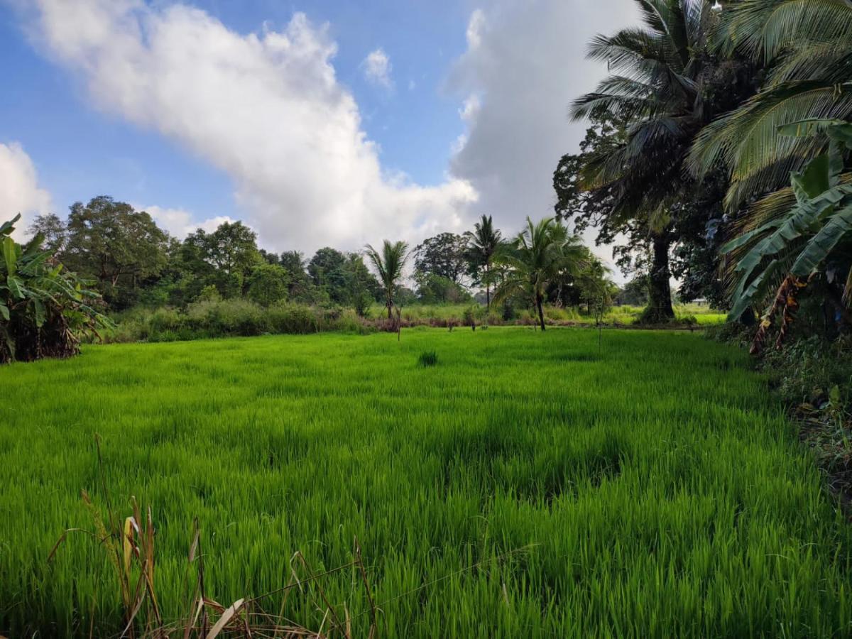 Sigiri Sandilu Homestay Sigiriya Dış mekan fotoğraf