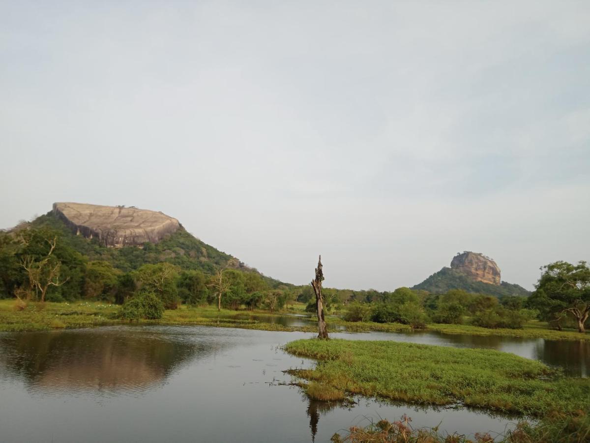 Sigiri Sandilu Homestay Sigiriya Dış mekan fotoğraf