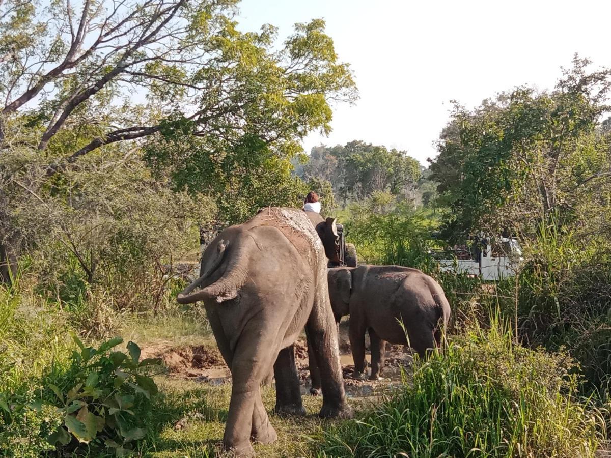 Sigiri Sandilu Homestay Sigiriya Dış mekan fotoğraf