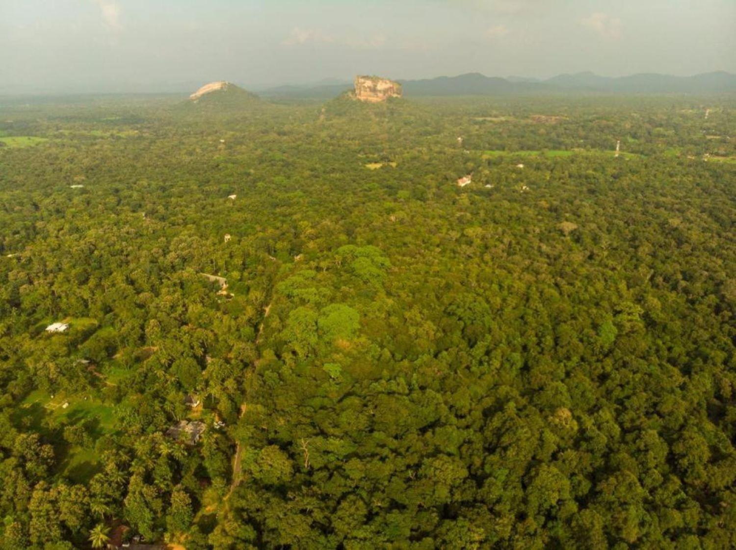 Sigiri Sandilu Homestay Sigiriya Dış mekan fotoğraf