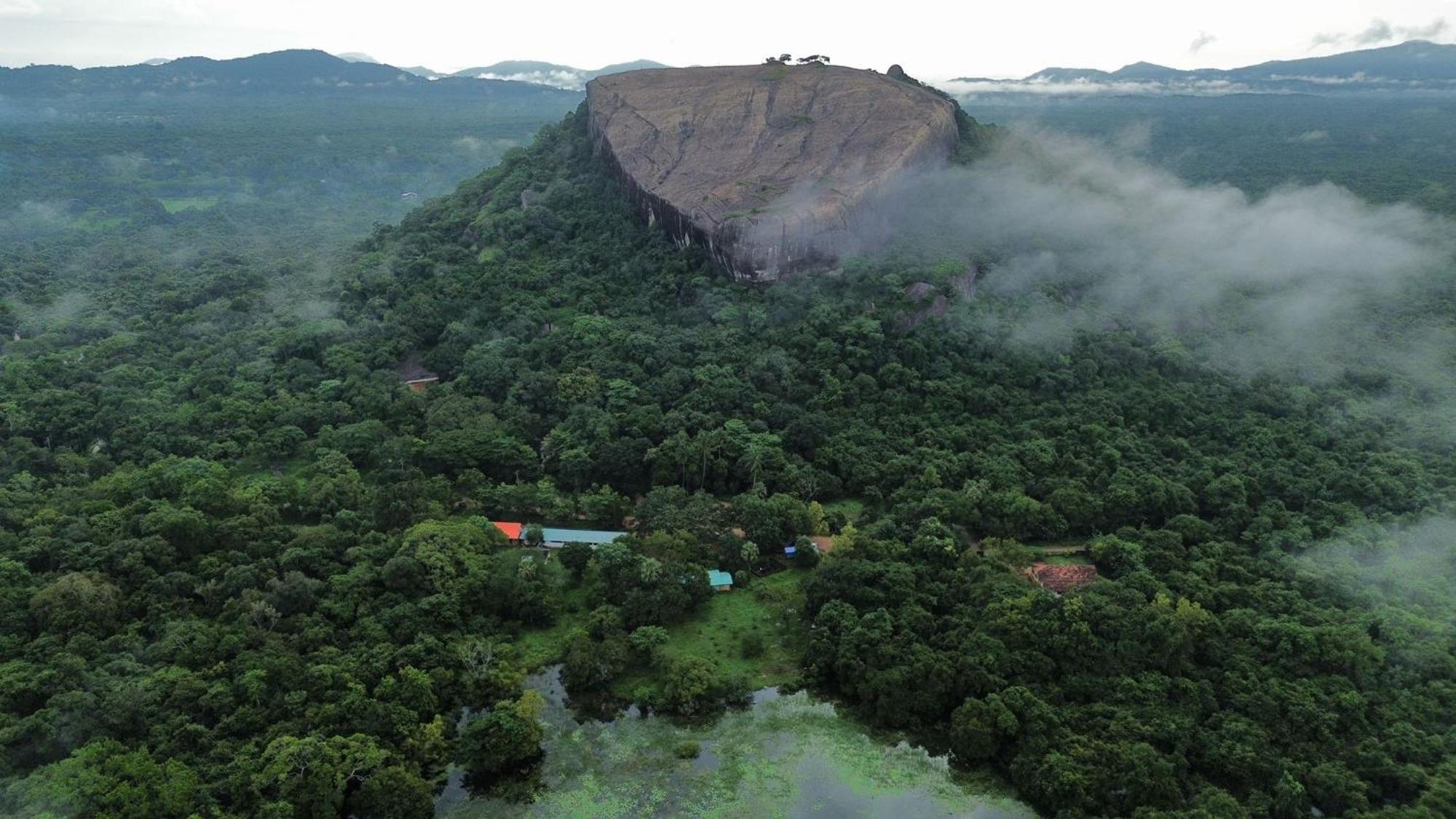 Sigiri Sandilu Homestay Sigiriya Dış mekan fotoğraf