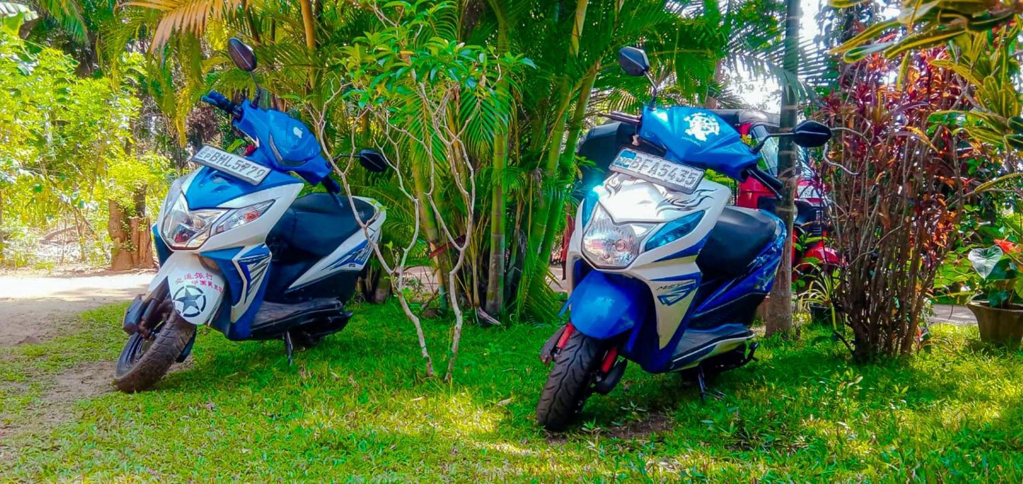 Sigiri Sandilu Homestay Sigiriya Dış mekan fotoğraf